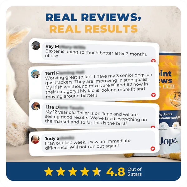 Jope Hip & Joint Dog Chews - 60 Count