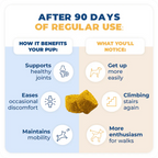 Jope Hip & Joint Dog Chews - 60 Count