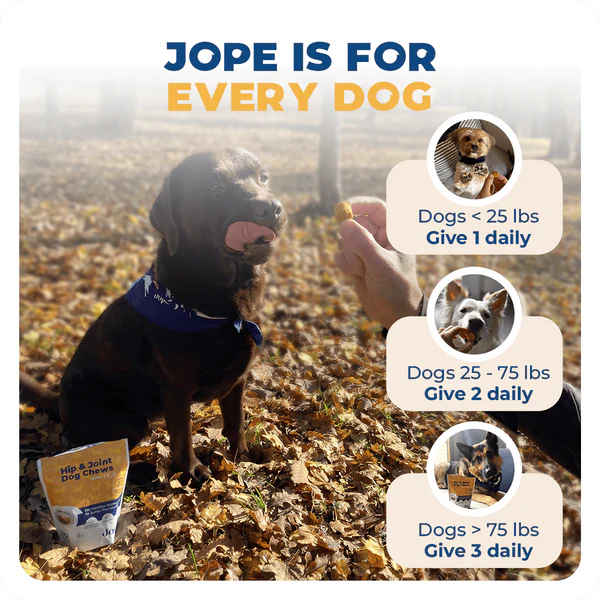 Jope Hip & Joint Dog Chews - 60 Count